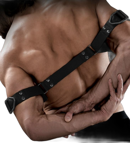 SIR RICHARDS - COMMANDEMENT BICEPS BENDER - Concombre Boutique