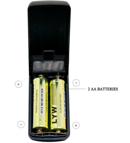 BAILE - PRIME RÉALISTE DONG GODE RÉALISTE NATUREL - Concombre Boutique