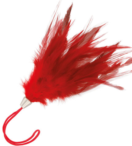 DARKNESS - STYLO STIMULANT ROUGE 17CM by DARKNESS SENSATIONS