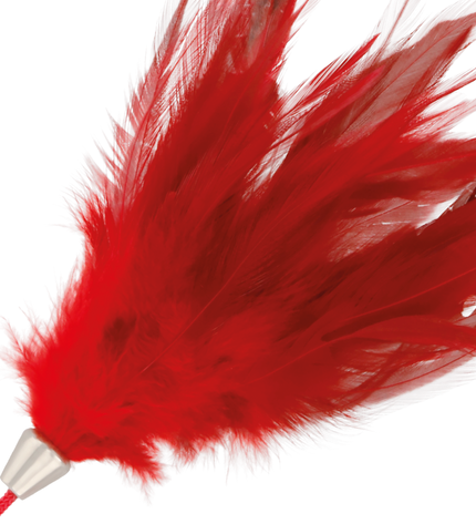 DARKNESS - STYLO STIMULANT ROUGE 17CM by DARKNESS SENSATIONS
