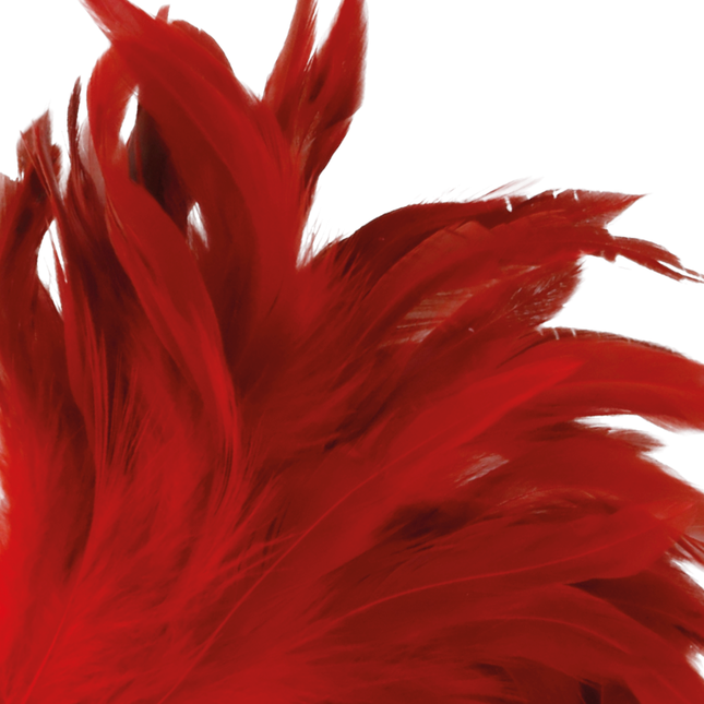 DARKNESS - STYLO STIMULANT ROUGE 24CM by DARKNESS SENSATIONS