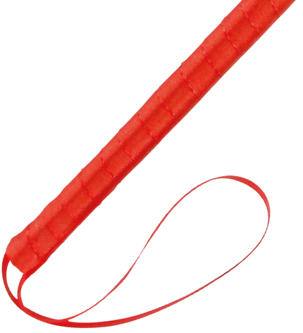 DARKNESS - STYLO STIMULANT ROUGE 24CM by DARKNESS SENSATIONS