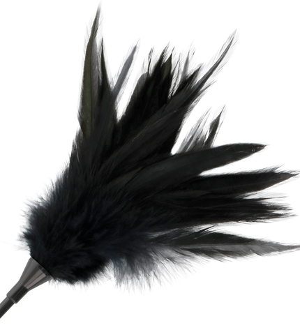 DARKNESS - FOUET À PLUMES NOIRES by DARKNESS SENSATIONS