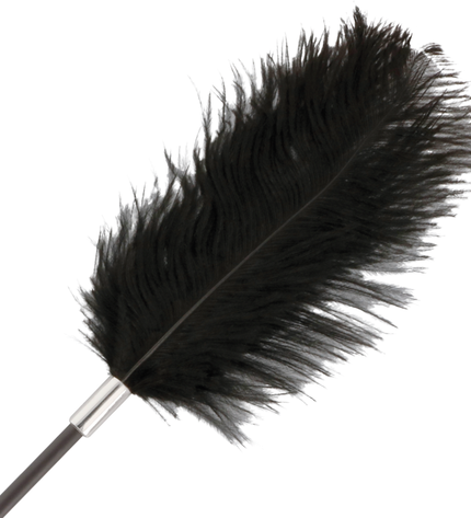 DARKNESS - FOUET PLUME DAMOUR NOIR 56 CM by DARKNESS SENSATIONS