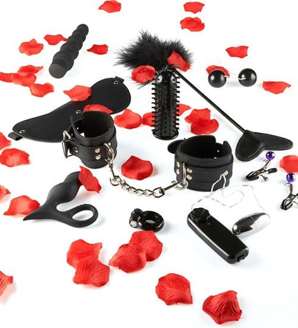 TOYJOY - KIT DE JOUETS SEXUELS DE PLAISIR INCROYABLE by TOYJOY