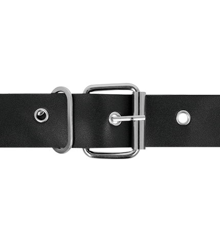 HARNESS ATTRACTION - RNES TAYLOR DELUXE 18 CM -O- 4.5 CM by HARNESS ATTRACTION