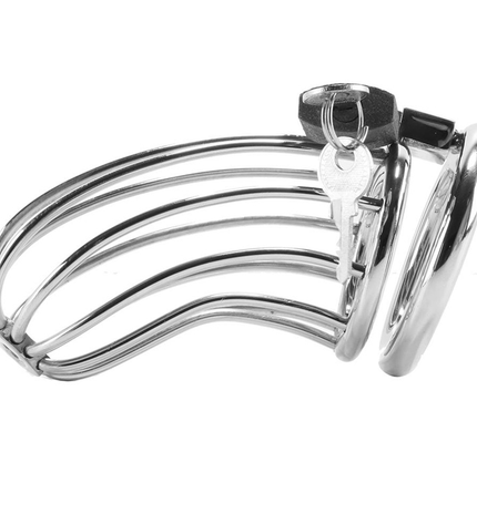 METAL HARD - CAGE DANNEAU DE CHASTETÉ DOISEAU - Concombre Boutique