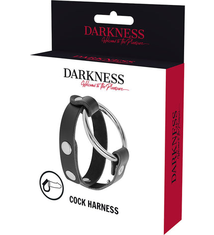 DARKNESS - ANNEAU DE BITE ET TESTICULE BDSM by DARKNESS BONDAGE