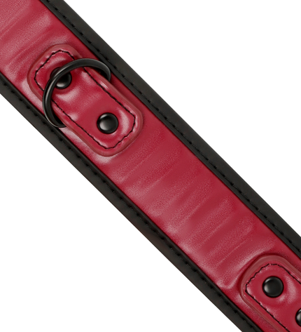FETISH SUBMISSIVE DARK ROOM - COLLIER CHAÎNE DOUBLURE EN NÉOPRÈNE by FETISH SUBMISSIVE DARK ROOM